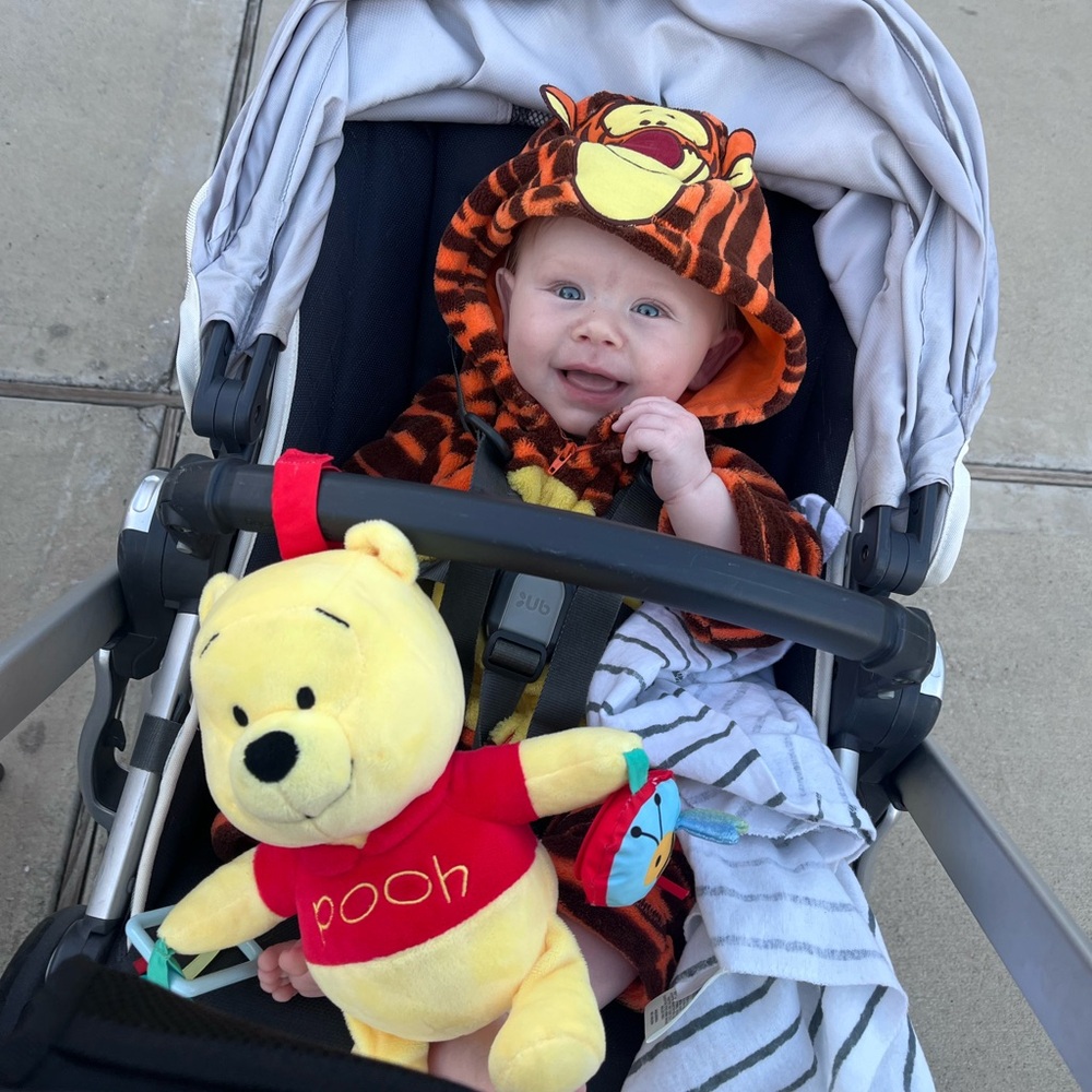 Disney Baby Warm Tigger Halloween Costume Size 3-6 Months EUC!